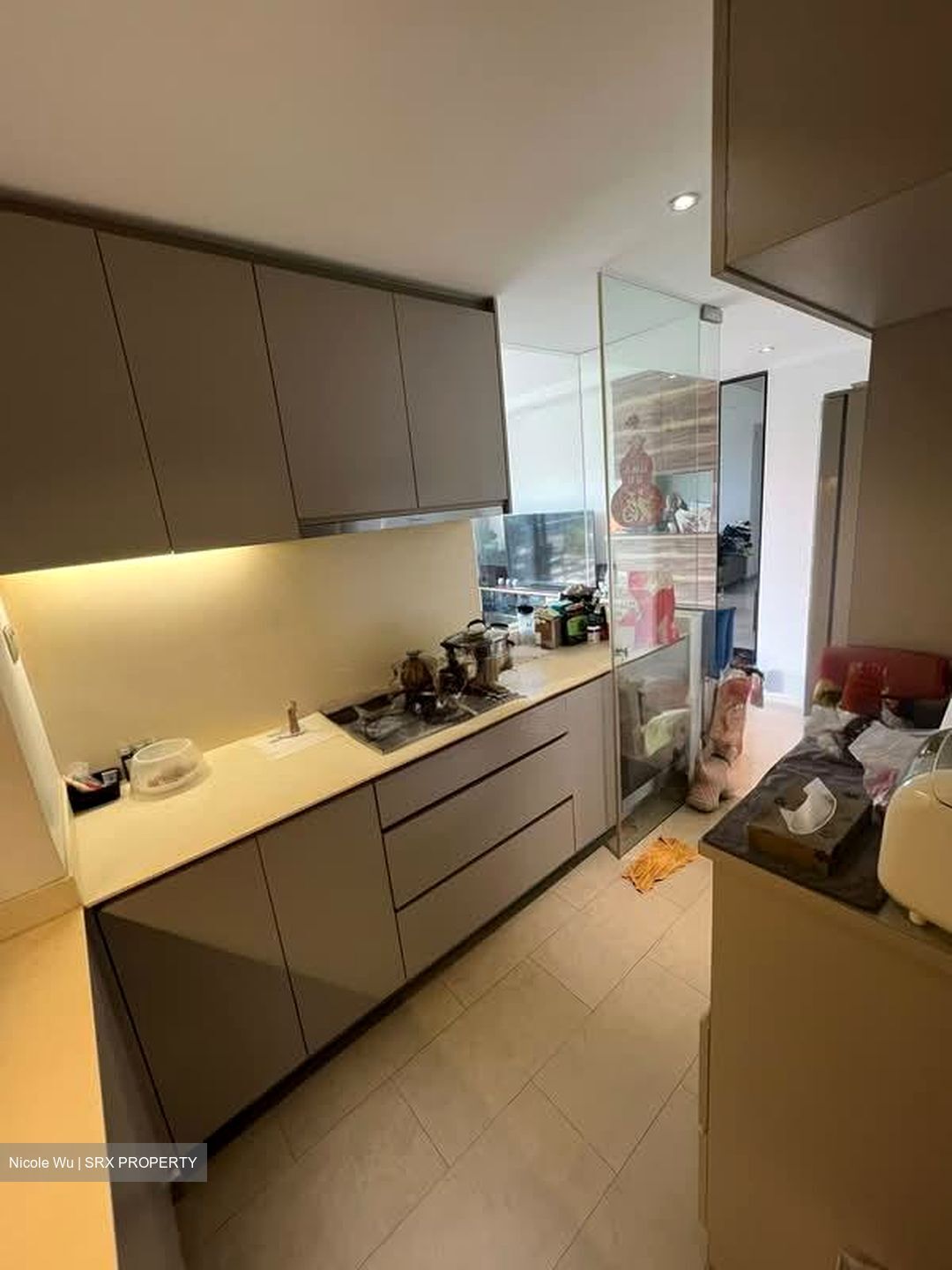 Riversails (D19), Condominium #579301041